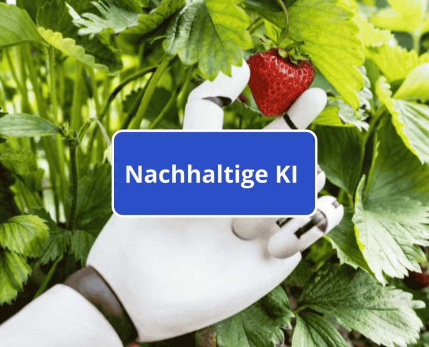 Programmieren mit Python im Unterricht - appcamps.de