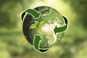 Beispielbild Nachhaltigkeit