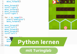Python lernen mit Turinglab