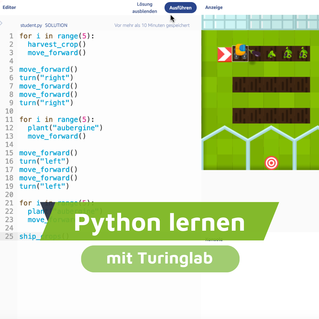 Python lernen mit Turinglab